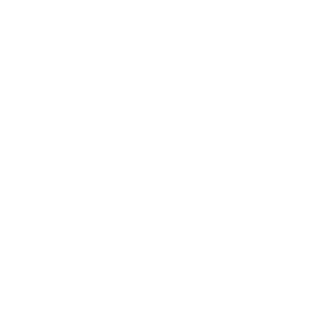 Seguridad